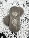 Доска садху 10 мм. Чехол в подарок 1079 фото 2